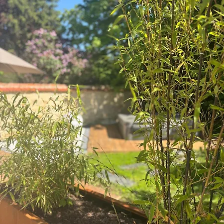 Bed and breakfast Les Ecuries De Rigny, De Gamme Avec Privatif Et Piscine Au Coeur D'un Jardin Arboré 4*